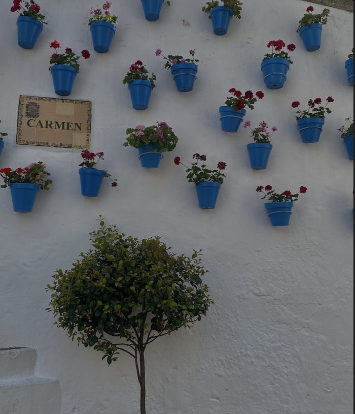 Image 28-05-25 à 10.16